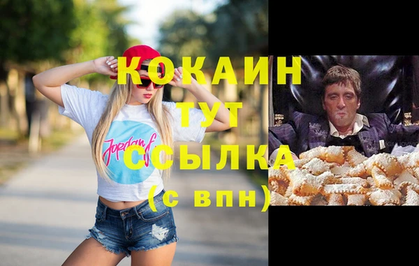 a pvp Щигры
