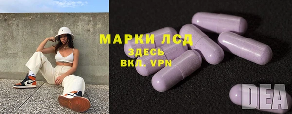 apvp Алзамай